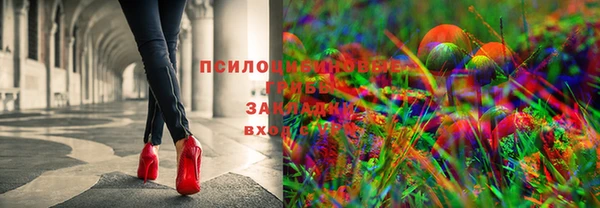 spice Верея