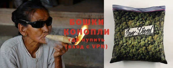 spice Верея