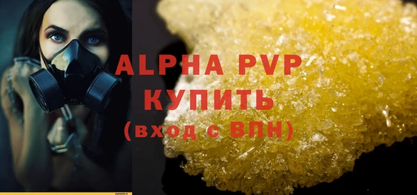 молекула духа Бронницы