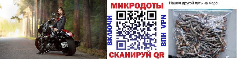 купить наркотики сайты  Кизел  Галлюциногенные грибы мухоморы 